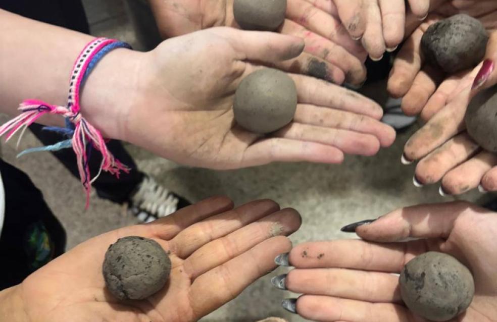 Conservação ambiental e da cidadania ecológica.