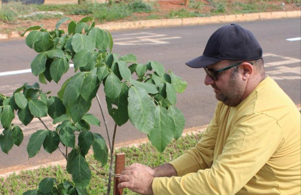 Projeto de Arborização Urbana da Vigilância Ambiental.
